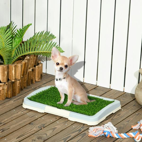 Dog Toilet