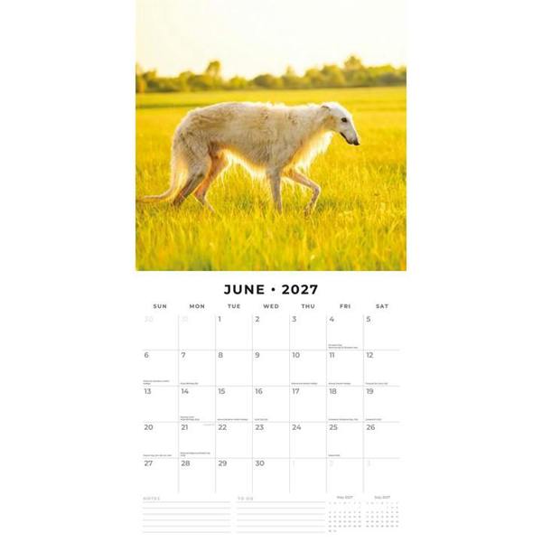 Borzois Calendar 2027, Wall Calendars, Month To View, Dogs, Gift