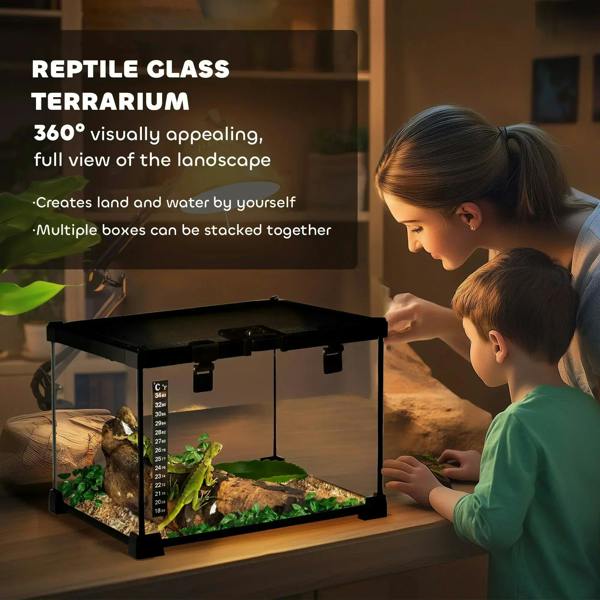 Black glass terrarium enclosure with black top cover, thermometer, and green habitat