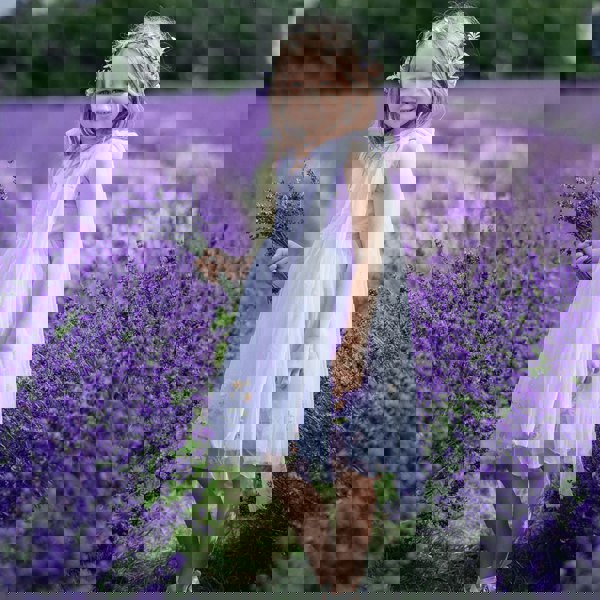 Young girl in a lavender field holding a bundle of lavender flowers.