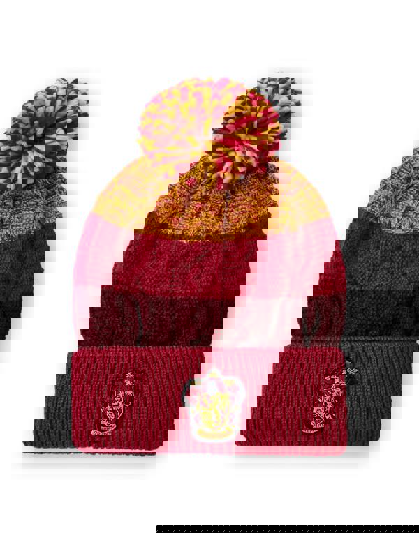 Harry Potter Unisex Kids Multicoloured Gryffindor Beanie and Gloves Set (One Size)