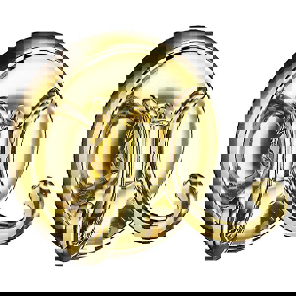 Polished brass double towel hook