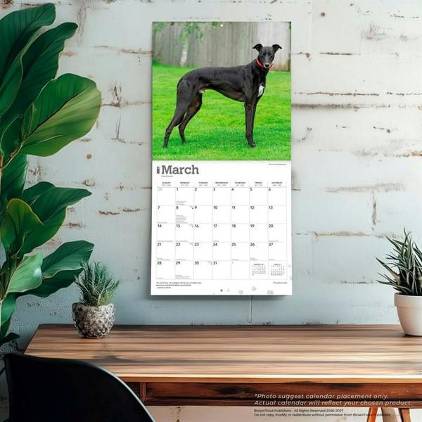 Greyhounds Calendar 2027, Wall Calendars, Month To View, Dogs, Gift
