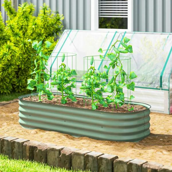 Green raised metal planter bed with seedlings under a clear greenhouse cover