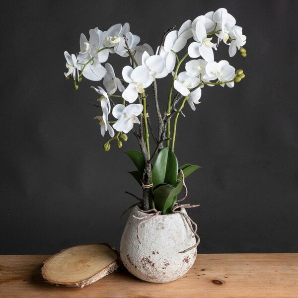 Wyld Haus Artificial Plant White Orchid in Ceramic Pot