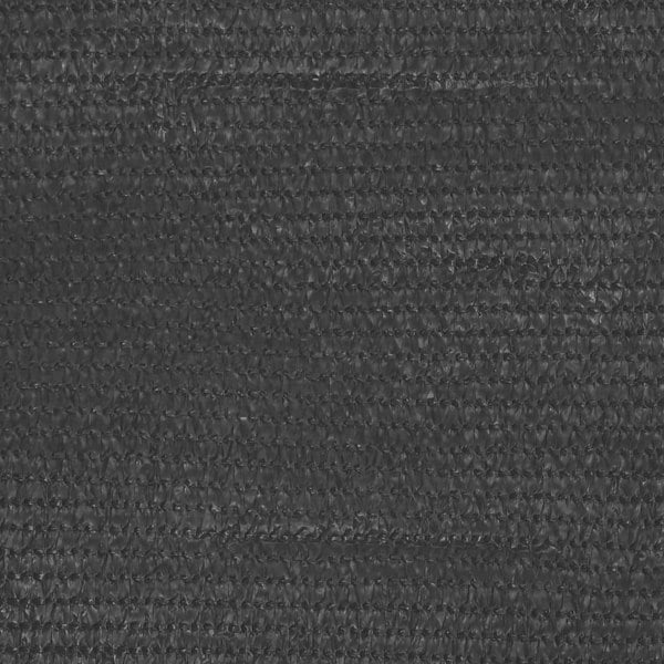 Berkfield Tent Carpet 200x200 cm Anthracite