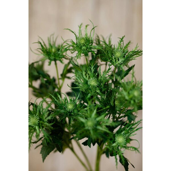 Wyld Haus Set of 3 Artificial Flowers Green Sea Holly Sprays