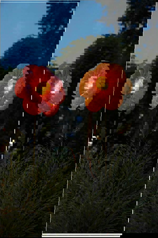 Luxform Anemone Flower Solar Light