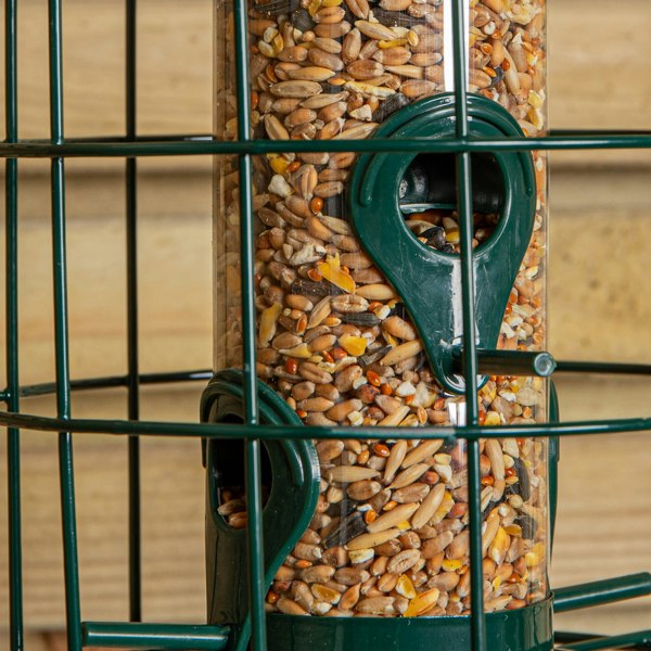 Samuel Alexander Metal Hanging Bird Seed Feeder with Squirrel Guard