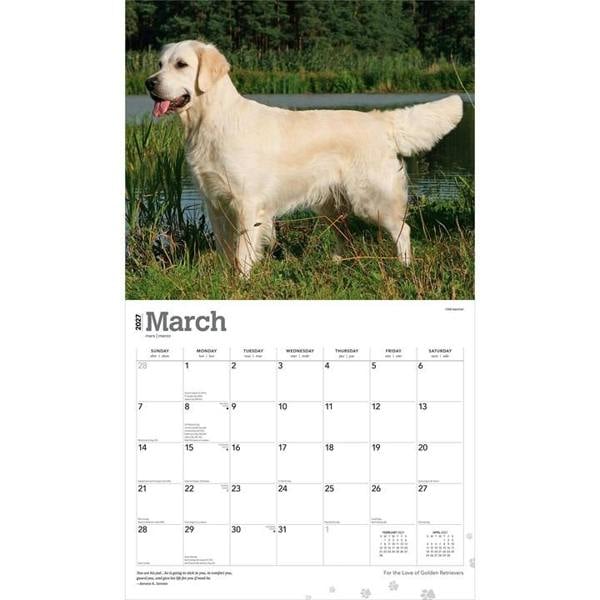 For The Love Of Golden Retrievers Deluxe Calendar 2027, Deluxe Calendars, Month To View, Dogs, Gift
