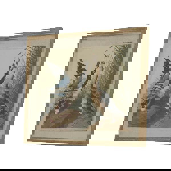 Hill Interiors Flora & Fauna Collection Mallards Beaded Linen Framed Wall Art - Brown/White/Black - 