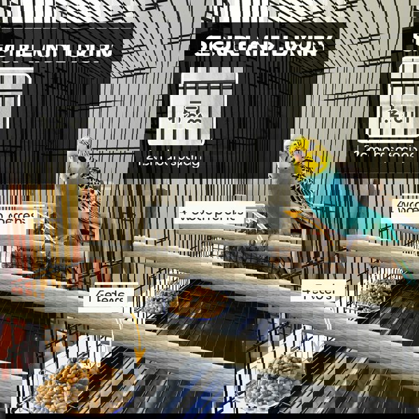 D10-106V00BK