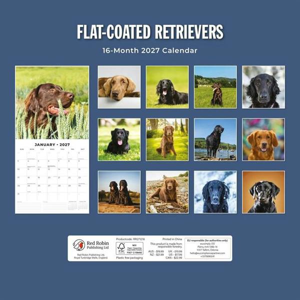 Flat Coated Retrievers Calendar 2027, Wall Calendars, Month To View, Dogs, Gift