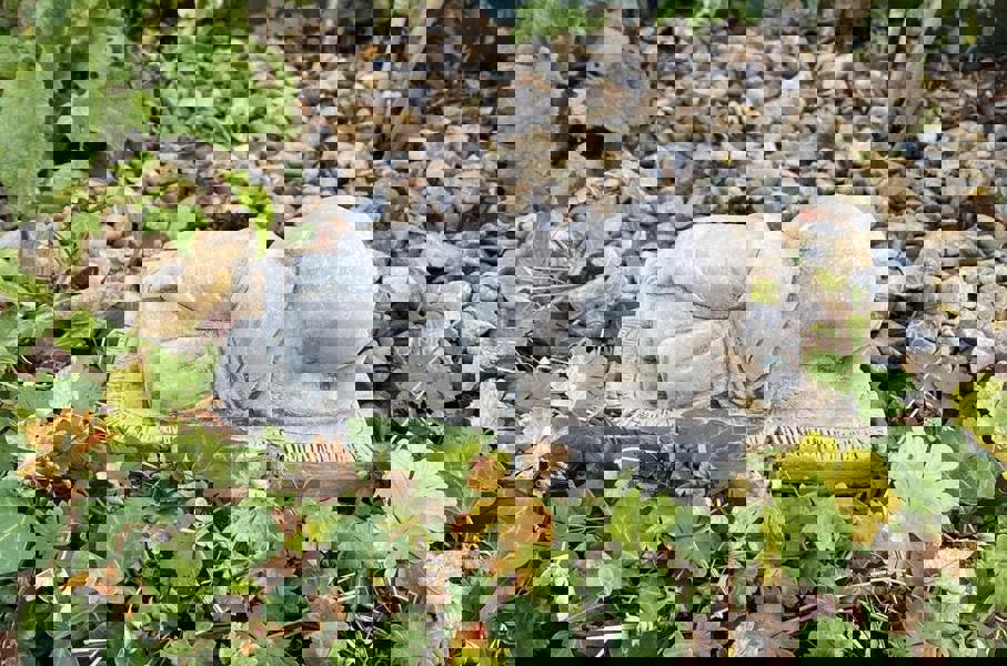 Charming Stone Cast Small Lying Monk in Robe