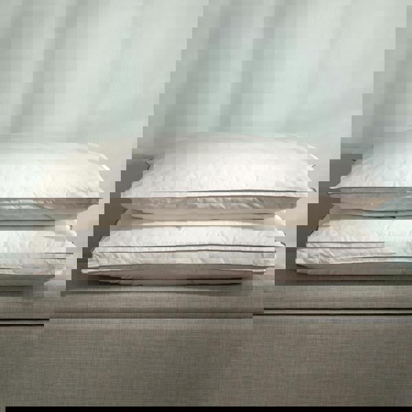 Soak&Sleep 60% Duck Down Pillows