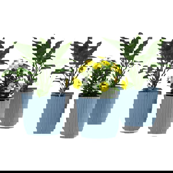 Outdoor Planters