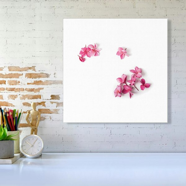 Warren Reed Pink Frangipani Flowers Canvas