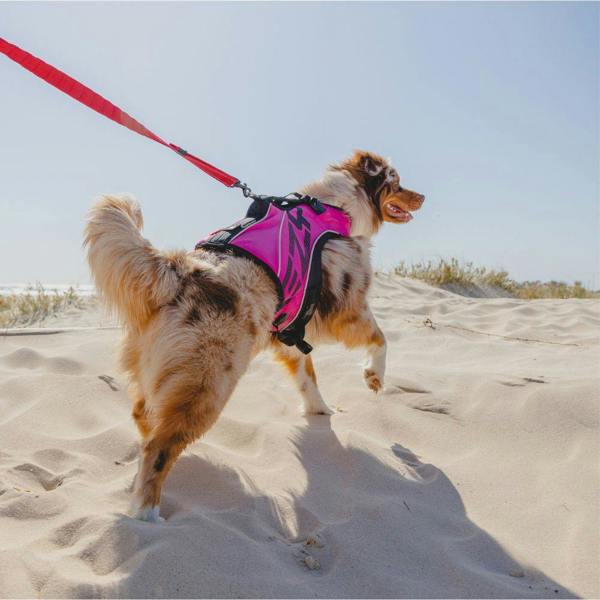 EzyDog DFD X2 Boost Dog Life Jacket in Pink