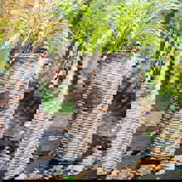 MI37 A Set Of Two Rattan Outdoor Plant Stands-Weilai Concept-Weilai Concept