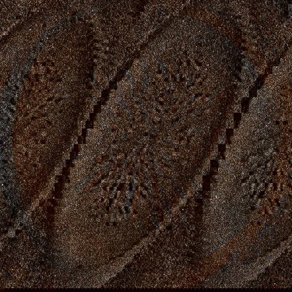 DIRTEA Turkey Tail Mushroom Powder