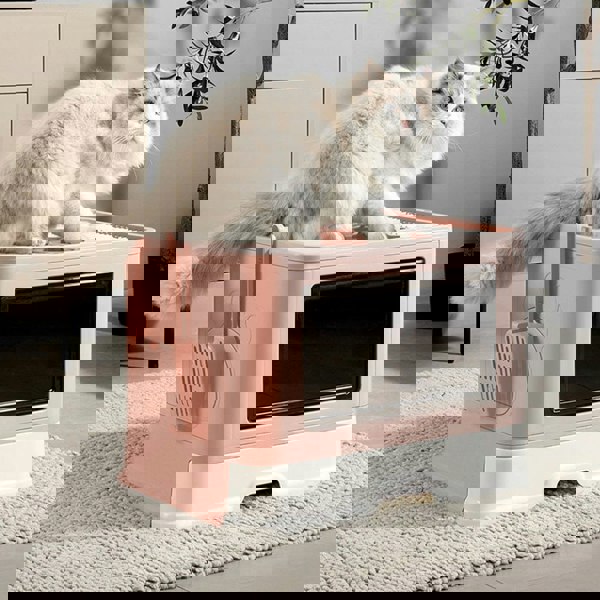 Enclosed Folding Plastic Cat Litter Box with Scoop Living and Home