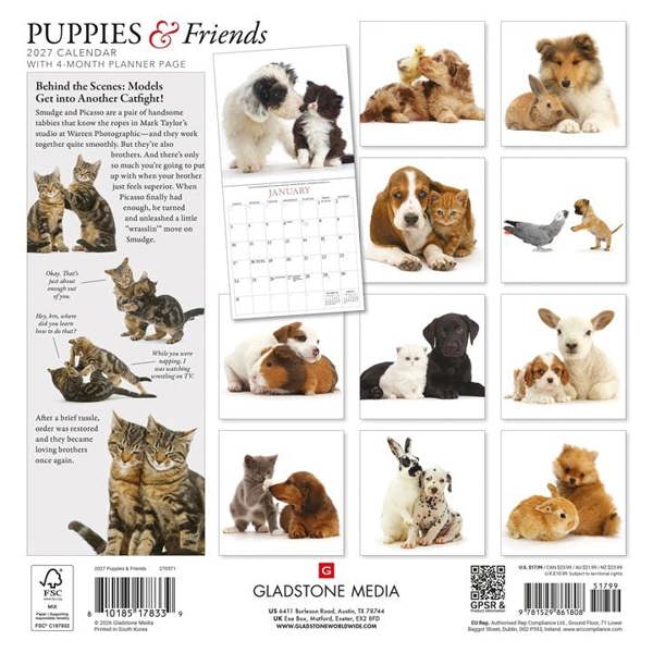 Puppies & Friends Calendar 2027, Wall Calendars, Month To View, Dogs, Gift