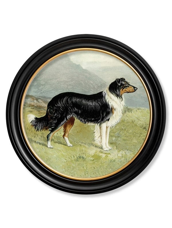 Exceptional Art c.1881 Working Dogs - Round Frame