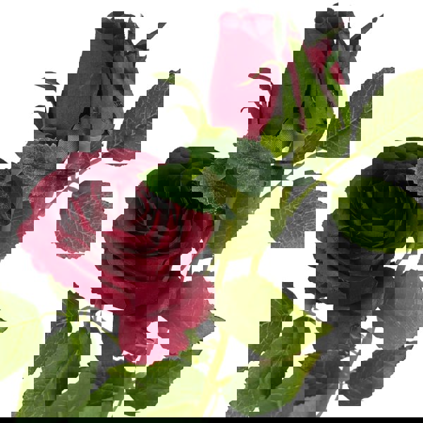 Leaf Pack of 6 x 60cm Artificial Red Rose Flower