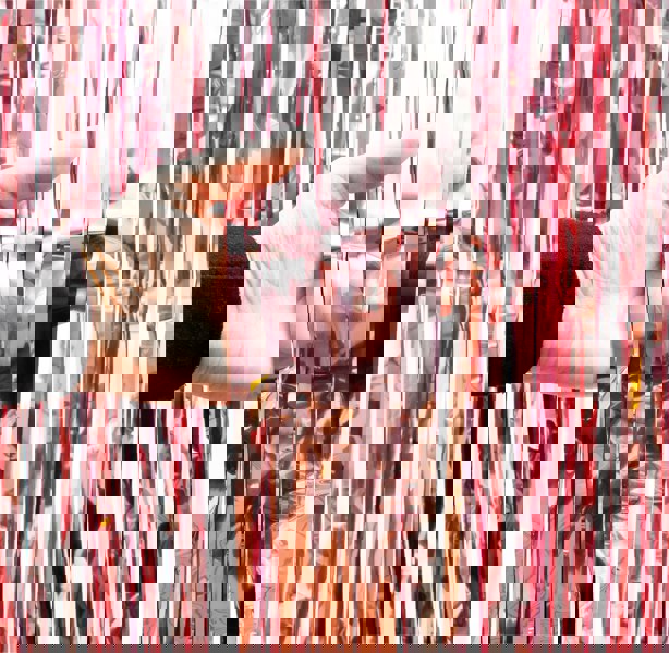 Cheetah Shimmer Tinsel Curtain, 2.5M x 1M Rose Gold