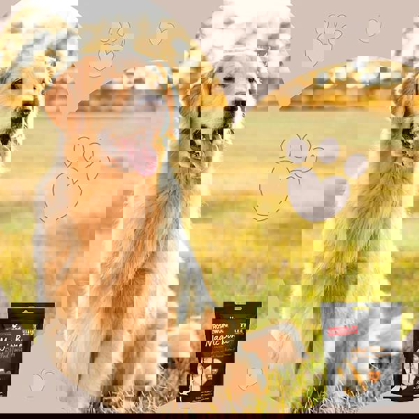 Rosewood Magic Bone Filled Twists Medium Dog Treat With Chicken, Peanut Butter Flavour 195g