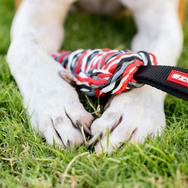 EzyDog Beaver Tail Floating Dog Toy