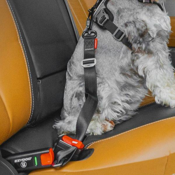 EzyDog ISOFIX Latch Adjustable Dog Seatbelt