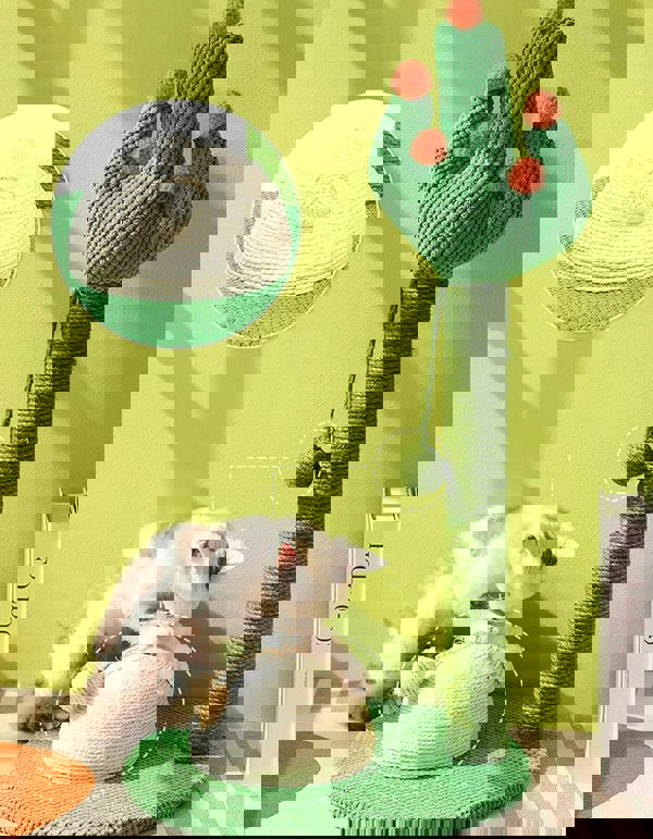 Ola's Cactus with Bed, Cat Toy, Climbing tree-Weilai concept-Weilai Concept