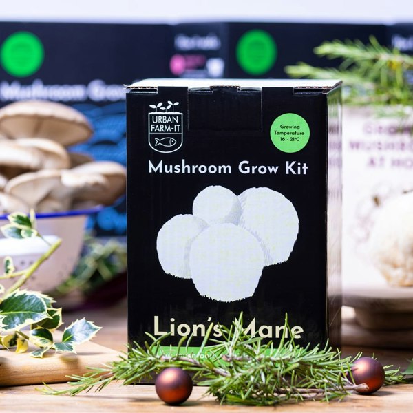 Urban Farm-It Lion's Mane Mushroom Growing Kit