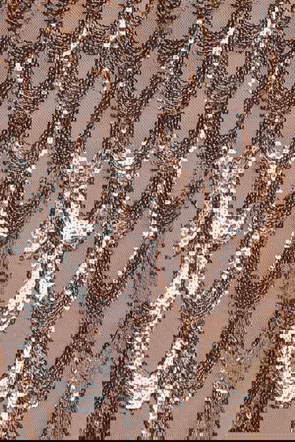 Diamante Strap Fish Scale Sequin Maxi Dress - Champagne DR4276