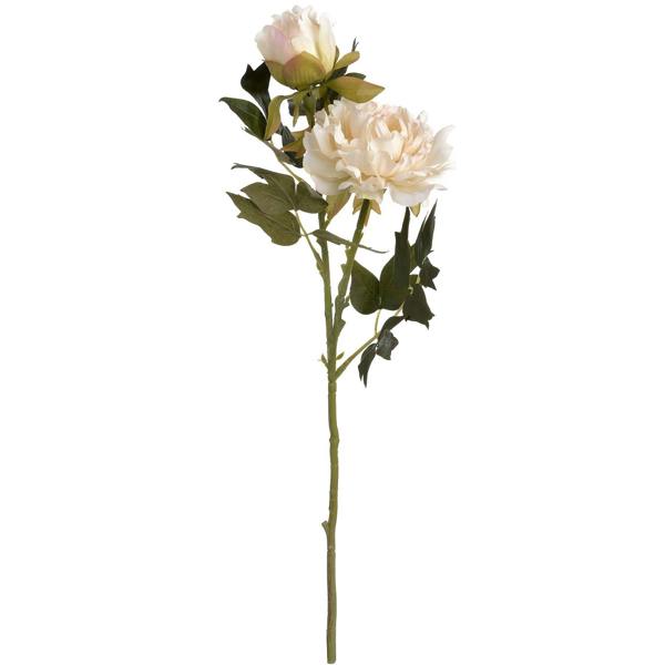 Wyld Haus Set of 3 Artificial Flowers White Peony Stem