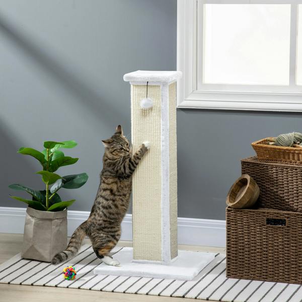 Cat Scratching Post