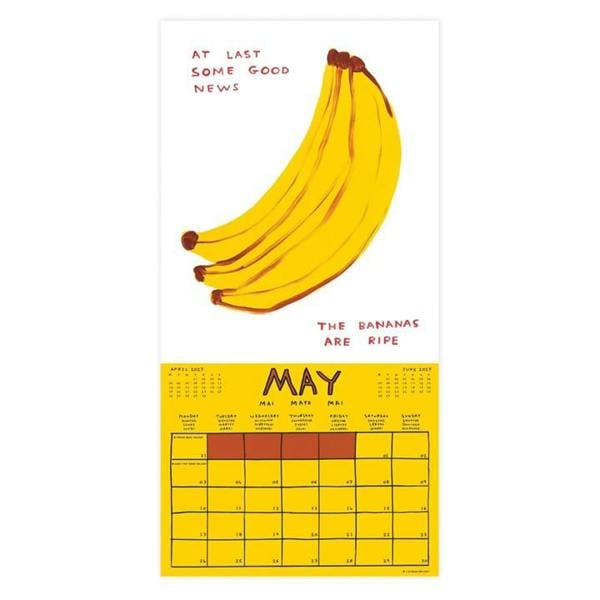 David Shrigley Calendar 2027, Wall Calendars, Month To View, Humour, Gift