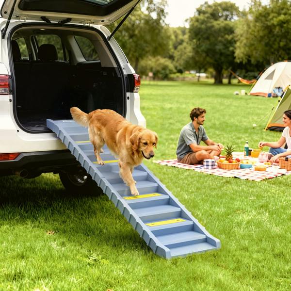 Pet Ramp