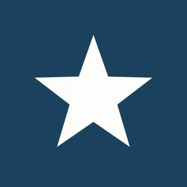 World Of Wallpaper Star Wallpaper - Navy/White - 