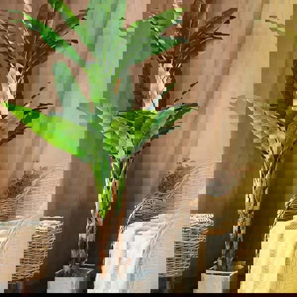 TU14 Artificial Plant-Weilai Concept-Weilai Concept