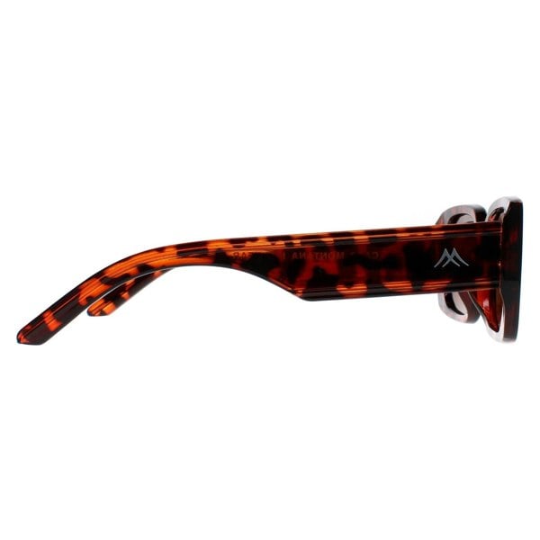 Montana Sunglasses MP76 A Shiny Turtle Brown Polarized