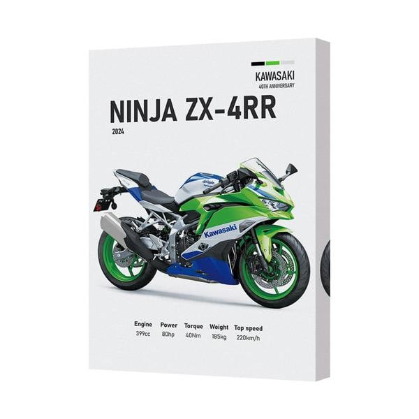 Benjamin Tate Design Kawasaki Ninja ZX4RR Motorcycle Canvas Print Wall Art 2024