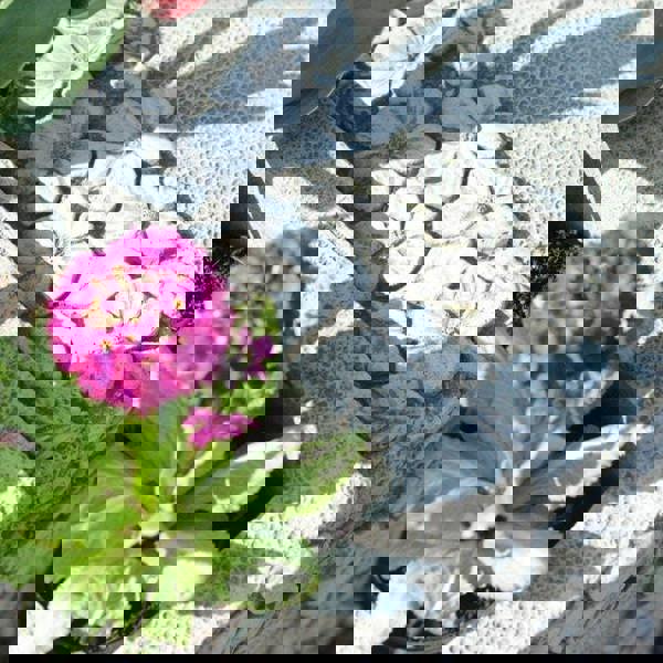 Daisy Design Stone Cast Garden Bench