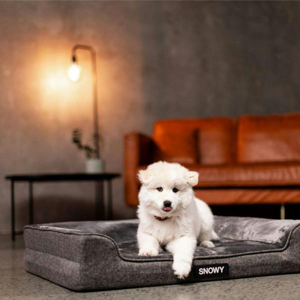 EzyDog Next Gen Orthopaedic Lounger Dog Bed