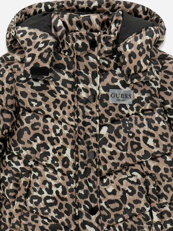 GUEA6037_BROWN_3