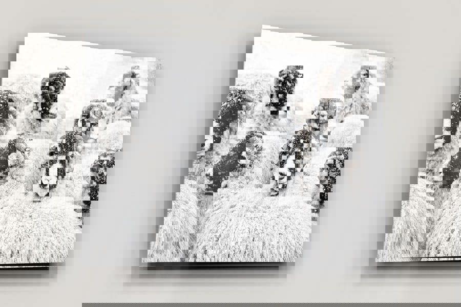 winter wildlife art print for rural cottage interior design