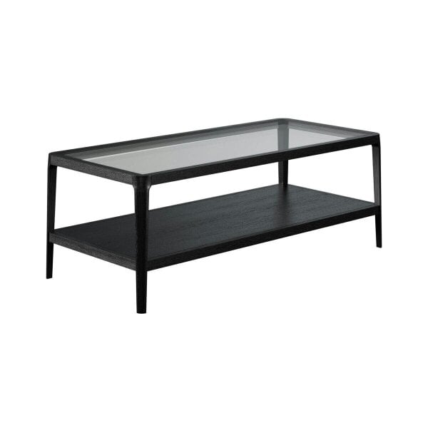 Wyld Haus Florianopolis Black Wood and Glass Top Coffee Table