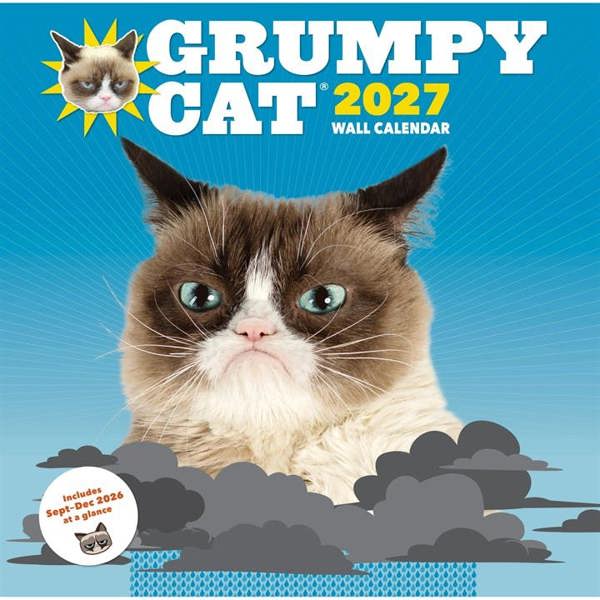 Chronicle Books Grumpy Cat Calendar 2027, Wall Calendars, Month To View, Humour, Gift