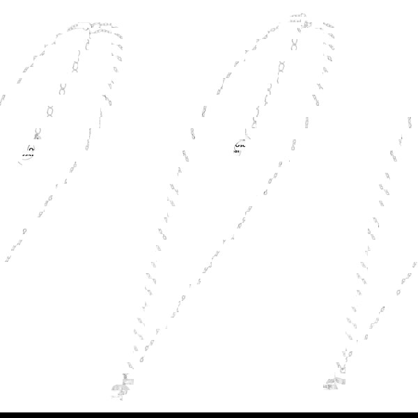 Hamster Silver Necklace - Personalised - MYLEE London